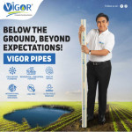 Social Media Content & Marketing