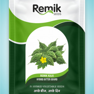 BITTER GOURD REMIK KAJU
