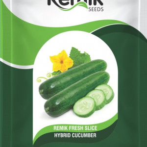 CUCUNBER SEEDS REMIK FRESH SLICE