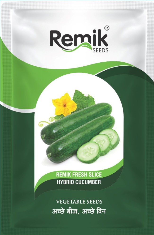 CUCUNBER SEEDS REMIK FRESH SLICE