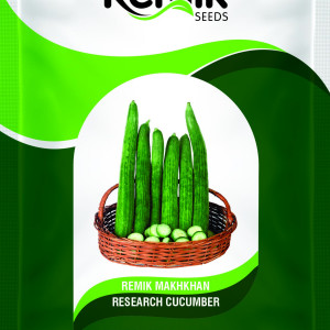 CUCUMBER SEEDS REMIK MAKHKHAN