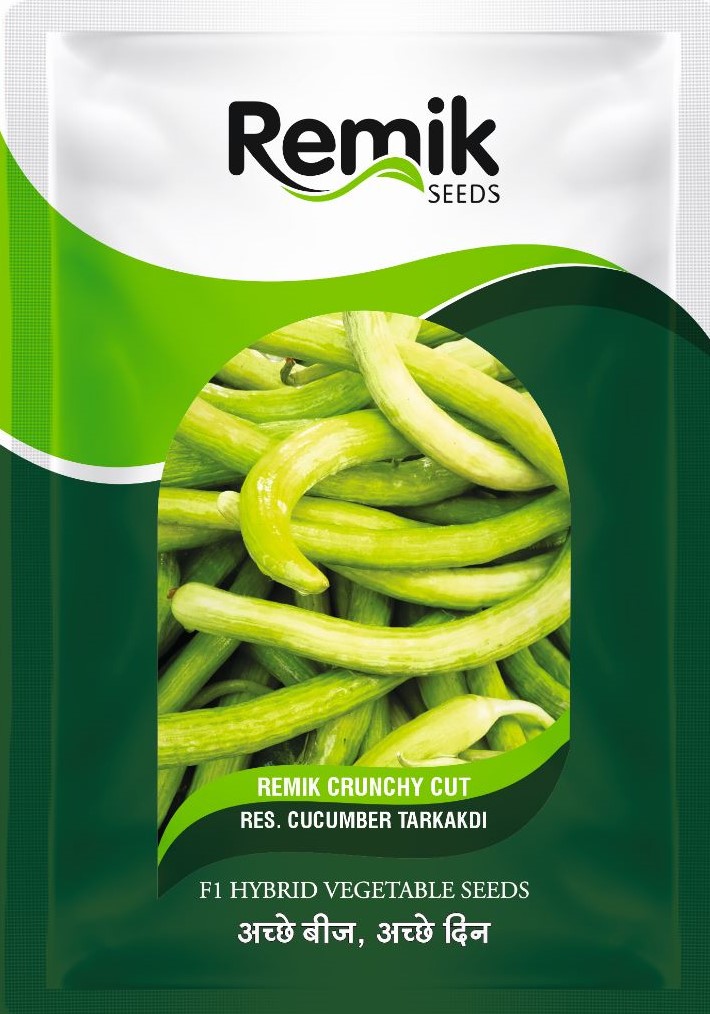 CUCUMBER SEEDS REMIK CRUNCHYCUT
