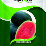 WATER MELON SEED REMIK SHIVLING