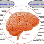 Ayurveda And Panchkarma Hospital