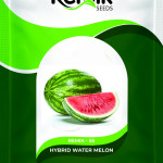 WATER MELON SEEDS REMIK PINKY SWEET