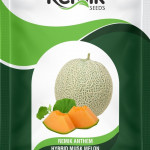 MUSK MELON SEEDS REMIK AENTHM