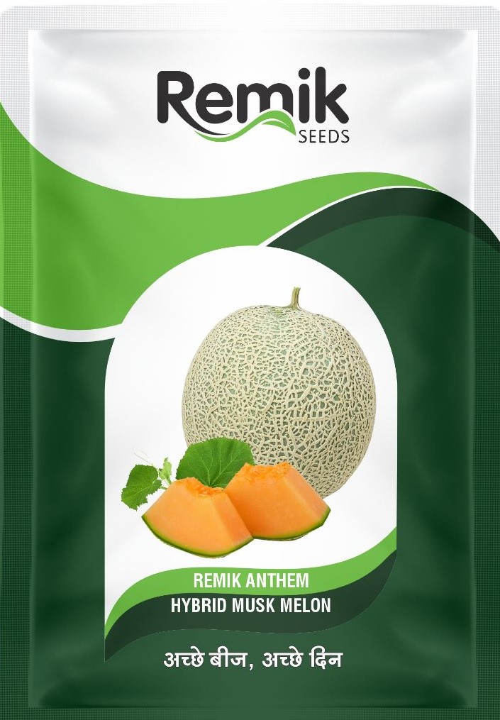 MUSK MELON SEEDS REMIK AENTHM