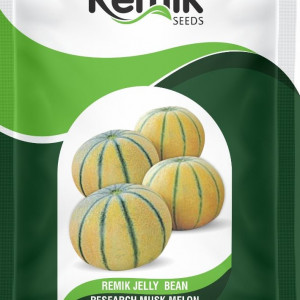 MUSK MELON SEEDS REMIK JELLY BEAN