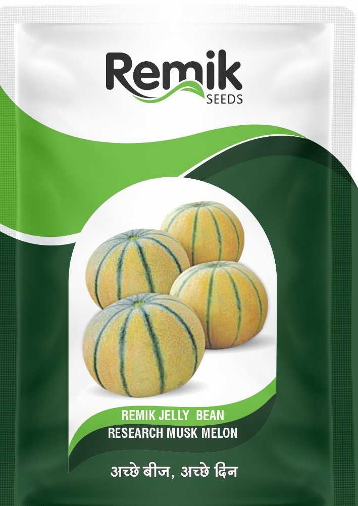 MUSK MELON SEEDS REMIK JELLY BEAN