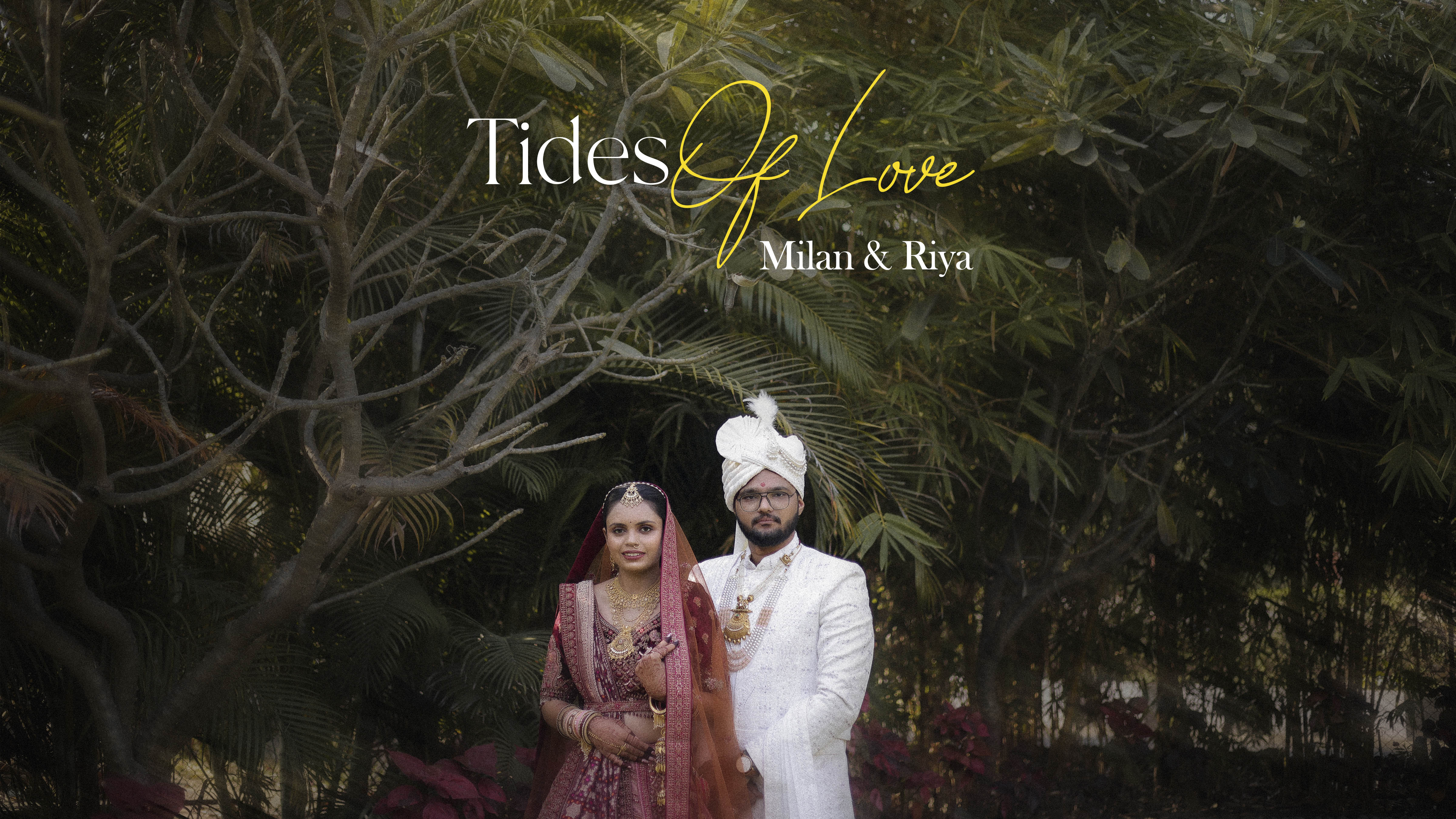 photography & videography