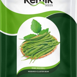 REMIK AGRI SEEDS PVT LTD