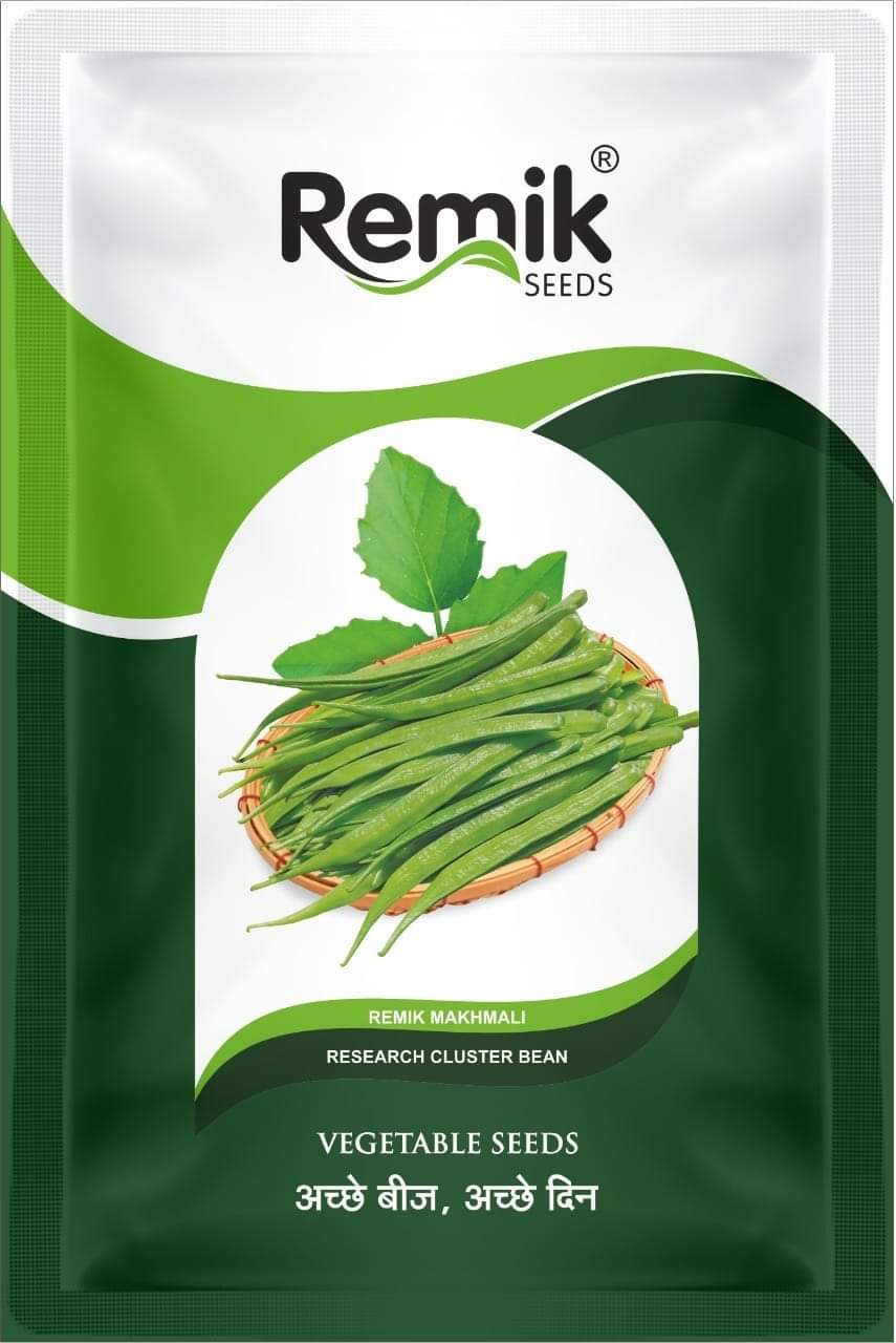 REMIK AGRI SEEDS PVT LTD