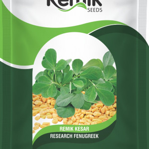 fenugreek seeds
