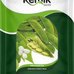 KIDNY BEANS SEEDS REMIK BEANS BRO