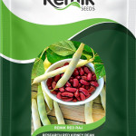 red rajma seeds