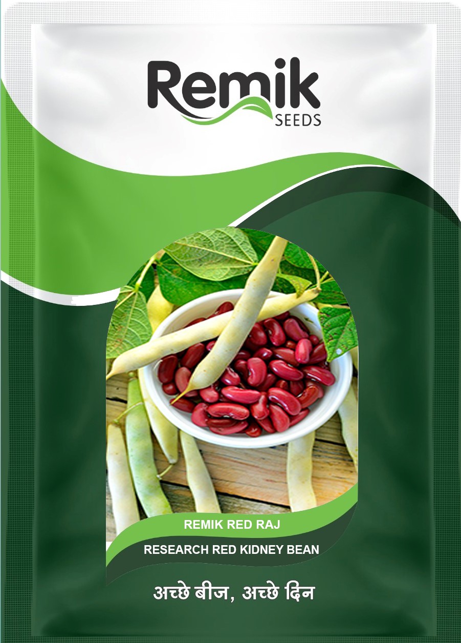 red rajma seeds