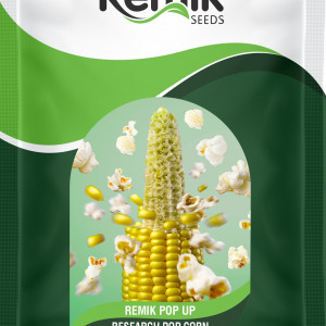 POP CORN REMIK POP UP