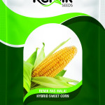SWEET CORN REMIK RASMALI