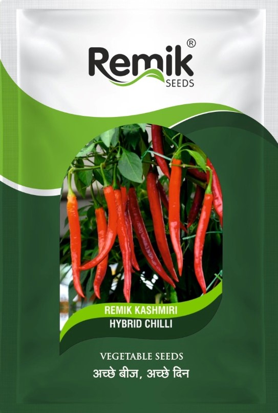 CHILLI SEEDS REMI KASHMIRI