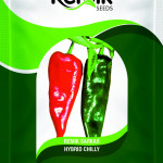 CHILLI SEEDS REMIK SARKAR