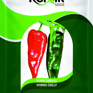 CHILLI SEEDS REMIK SARKAR