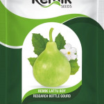 REMIK AGRI SEEDS PVT LTD