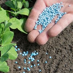 Fertilizer Agents