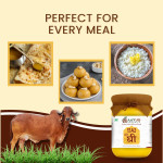 A2 Gir Cow Ghee | Traditional Bilona Method Ghee | Grassfed, Pure and Healthy Cow Ghee