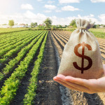 Agriculture Loan