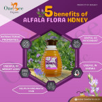 Alfalfa Honey