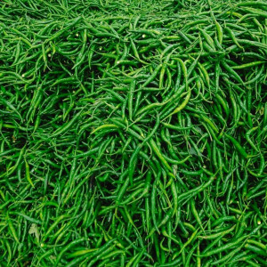 Green Chilli
