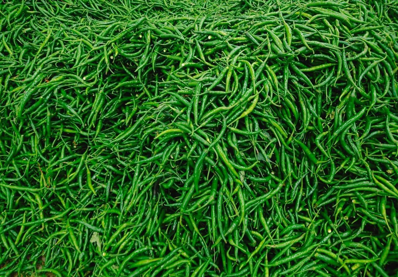 Green Chilli