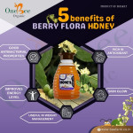 Berry Honey / Sidr Honey
