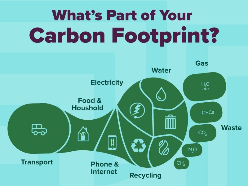 Carbon Footprint Assessment Services
