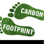 Carbon Footprint Assessment Services