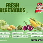 Social Media Content & Marketing