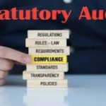 Statutory Audit