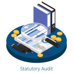 Statutory Audit