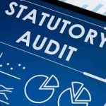 Statutory Audit