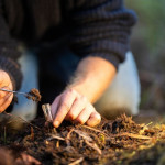 Environmental Monitoring Services