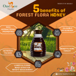 Forest Honey