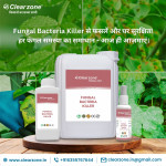 Clear Zone JENIKA ENTERPRISE PRIVATE LIMITED