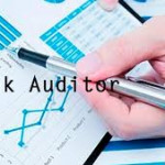 Statutory Bank Audit