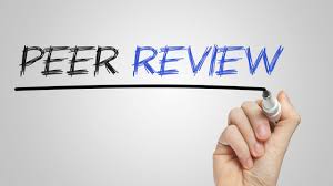 Peer Review Audit