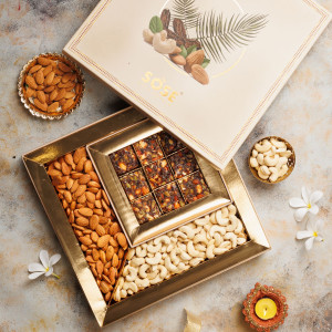 Nuts & Dryfruit Bites 4