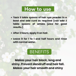 Hair Colour with Hair Spa, Black Hair Color with Brahmi, Heena, Rosemary, Dragon Fruit and Jatamansi