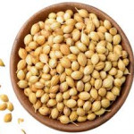 GROUNDNUT SEEDS
