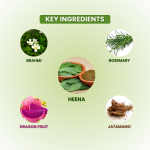 Hair Colour with Hair Spa, Black Hair Color with Brahmi, Heena, Rosemary, Dragon Fruit and Jatamansi