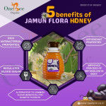 Jamun Honey / Blackberry Honey