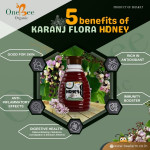 Karanj Honey